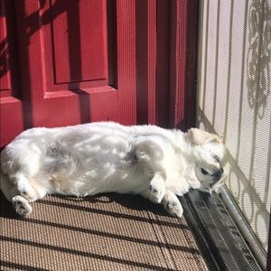 Meet your Posher, Angela